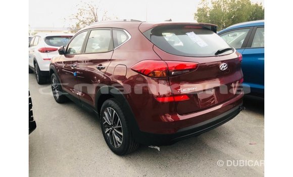 Buy Import Hyundai Tucson Other Car in Import - Dubai in Abhasia Buy Import Hyundai Tucson Other Car in Import - Dubai in Abhasia
