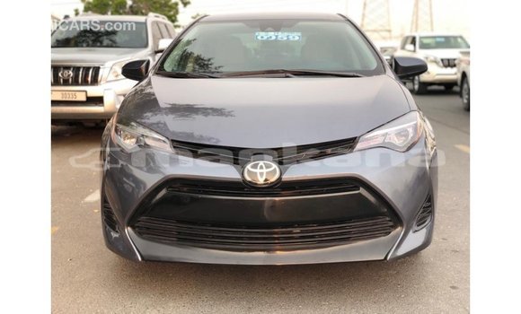 Buy Import Toyota Corolla Other Car in Import - Dubai in Abhasia Buy Import Toyota Corolla Other Car in Import - Dubai in Abhasia