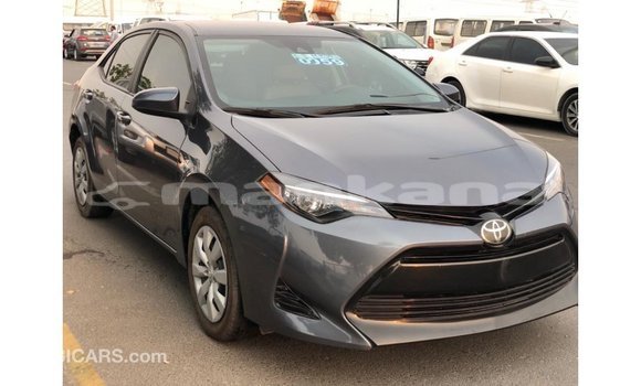 Buy Import Toyota Corolla Other Car in Import - Dubai in Abhasia Buy Import Toyota Corolla Other Car in Import - Dubai in Abhasia