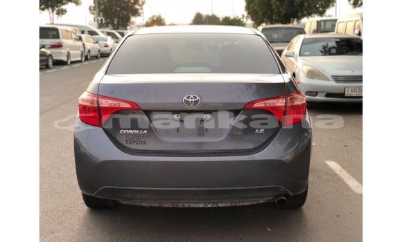 Buy Import Toyota Corolla Other Car in Import - Dubai in Abhasia Buy Import Toyota Corolla Other Car in Import - Dubai in Abhasia