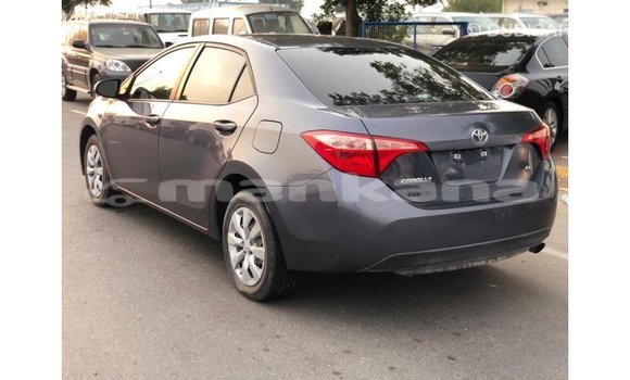 Buy Import Toyota Corolla Other Car in Import - Dubai in Abhasia Buy Import Toyota Corolla Other Car in Import - Dubai in Abhasia