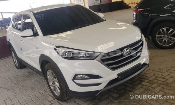 Buy Import Hyundai Tucson White Car in Import - Dubai in Abhasia Buy Import Hyundai Tucson White Car in Import - Dubai in Abhasia