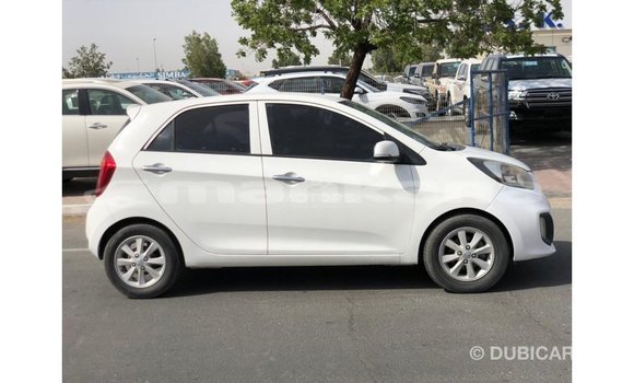 Buy Import Kia Picanto White Car in Import - Dubai in Abhasia Buy Import Kia Picanto White Car in Import - Dubai in Abhasia