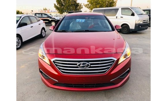 Buy Import Hyundai Sonata Red Car in Import - Dubai in Abhasia Buy Import Hyundai Sonata Red Car in Import - Dubai in Abhasia