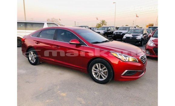 Buy Import Hyundai Sonata Red Car in Import - Dubai in Abhasia Buy Import Hyundai Sonata Red Car in Import - Dubai in Abhasia
