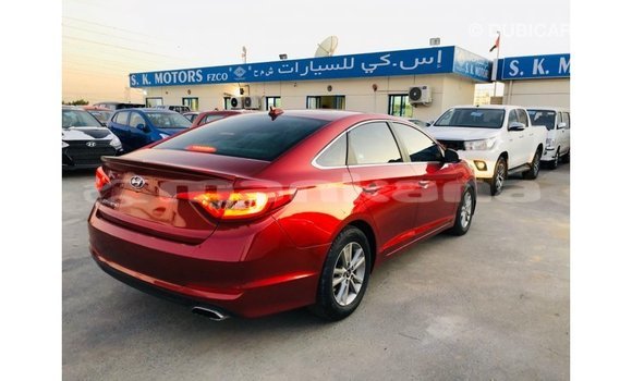 Buy Import Hyundai Sonata Red Car in Import - Dubai in Abhasia Buy Import Hyundai Sonata Red Car in Import - Dubai in Abhasia