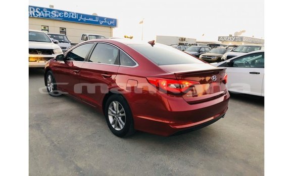 Buy Import Hyundai Sonata Red Car in Import - Dubai in Abhasia Buy Import Hyundai Sonata Red Car in Import - Dubai in Abhasia