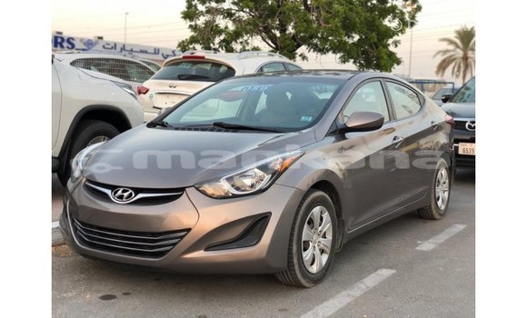 Buy Import Hyundai Elantra Brown Car in Import - Dubai in Abhasia Buy Import Hyundai Elantra Brown Car in Import - Dubai in Abhasia