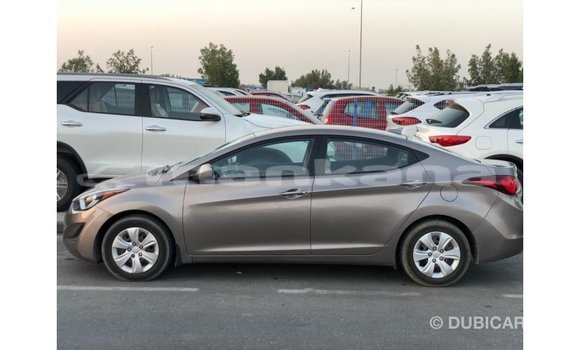 Buy Import Hyundai Elantra Brown Car in Import - Dubai in Abhasia Buy Import Hyundai Elantra Brown Car in Import - Dubai in Abhasia