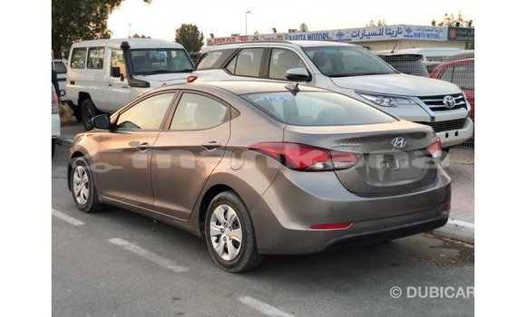 Buy Import Hyundai Elantra Brown Car in Import - Dubai in Abhasia Buy Import Hyundai Elantra Brown Car in Import - Dubai in Abhasia