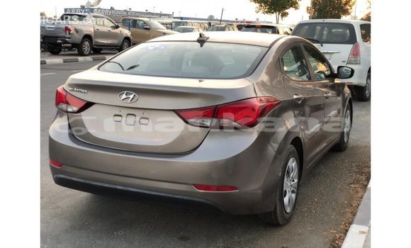 Buy Import Hyundai Elantra Brown Car in Import - Dubai in Abhasia Buy Import Hyundai Elantra Brown Car in Import - Dubai in Abhasia
