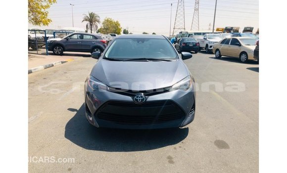 Buy Import Toyota Corolla Other Car in Import - Dubai in Abhasia Buy Import Toyota Corolla Other Car in Import - Dubai in Abhasia