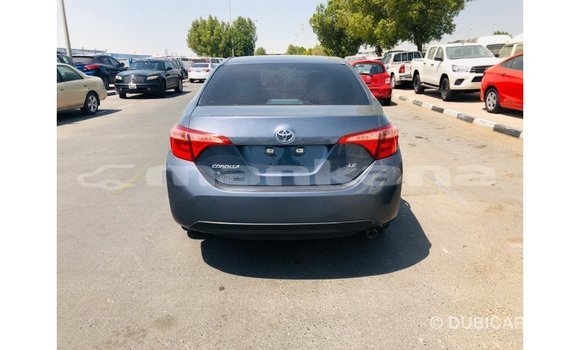 Buy Import Toyota Corolla Other Car in Import - Dubai in Abhasia Buy Import Toyota Corolla Other Car in Import - Dubai in Abhasia