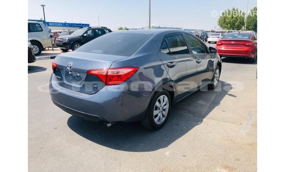 Buy Import Toyota Corolla Other Car in Import - Dubai in Abhasia Buy Import Toyota Corolla Other Car in Import - Dubai in Abhasia