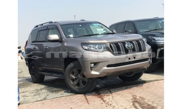 Buy Import Toyota Prado Brown Car in Import - Dubai in Abhasia