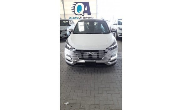 Buy Import Hyundai Tucson Other Car in Import - Dubai in Abhasia Buy Import Hyundai Tucson Other Car in Import - Dubai in Abhasia