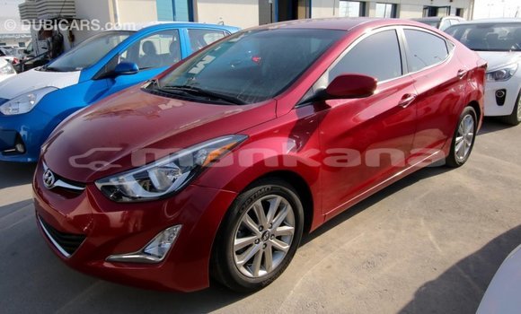 Buy Import Hyundai Elantra Red Car in Import - Dubai in Abhasia Buy Import Hyundai Elantra Red Car in Import - Dubai in Abhasia
