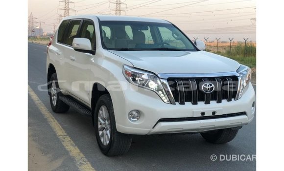Buy Import Toyota Prado White Car in Import - Dubai in Abhasia Buy Import Toyota Prado White Car in Import - Dubai in Abhasia