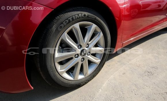 Buy Import Hyundai Elantra Red Car in Import - Dubai in Abhasia Buy Import Hyundai Elantra Red Car in Import - Dubai in Abhasia