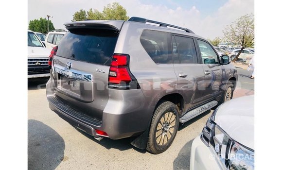 Buy Import Toyota Prado Brown Car in Import - Dubai in Abhasia Buy Import Toyota Prado Brown Car in Import - Dubai in Abhasia