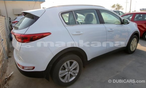 Buy Import Kia Sportage White Car in Import - Dubai in Abhasia Buy Import Kia Sportage White Car in Import - Dubai in Abhasia
