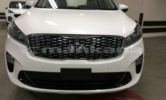 Buy Import Kia Sorento White Car in Import - Dubai in Abhasia