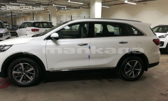 Buy Import Kia Sorento White Car in Import - Dubai in Abhasia Buy Import Kia Sorento White Car in Import - Dubai in Abhasia