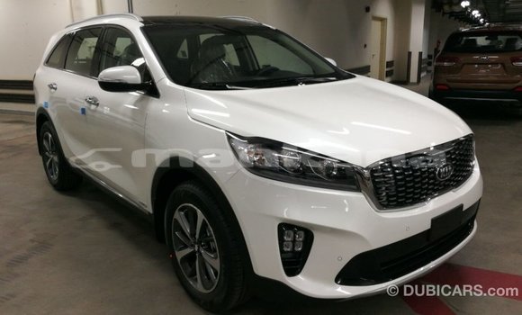 Buy Import Kia Sorento White Car in Import - Dubai in Abhasia Buy Import Kia Sorento White Car in Import - Dubai in Abhasia