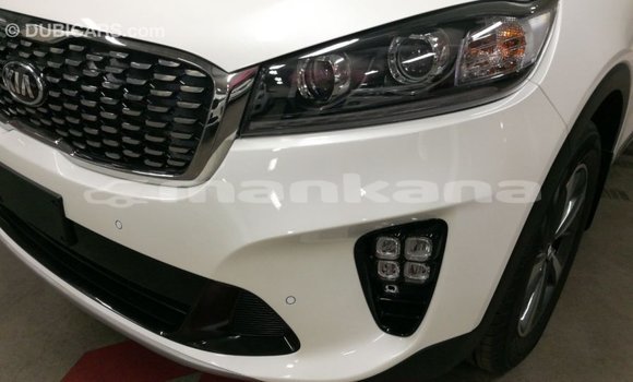 Buy Import Kia Sorento White Car in Import - Dubai in Abhasia Buy Import Kia Sorento White Car in Import - Dubai in Abhasia