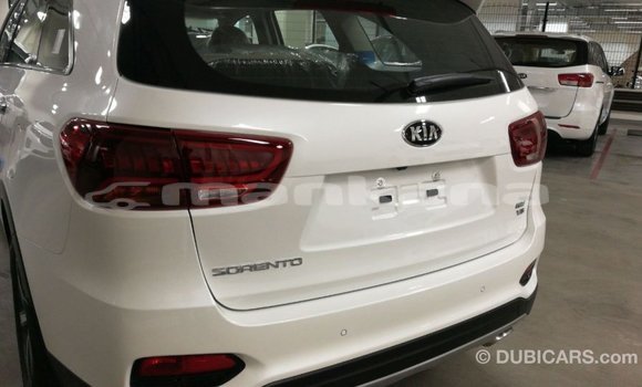 Buy Import Kia Sorento White Car in Import - Dubai in Abhasia Buy Import Kia Sorento White Car in Import - Dubai in Abhasia