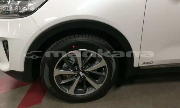 Buy Import Kia Sorento White Car in Import - Dubai in Abhasia Buy Import Kia Sorento White Car in Import - Dubai in Abhasia
