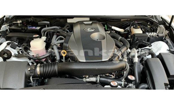 Buy Import Lexus IS White Car in Import - Dubai in Abhasia Buy Import Lexus IS White Car in Import - Dubai in Abhasia