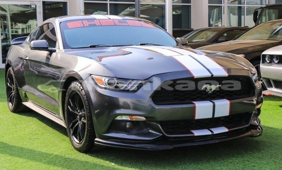 Buy Import Ford Mustang Other Car in Import - Dubai in Abhasia