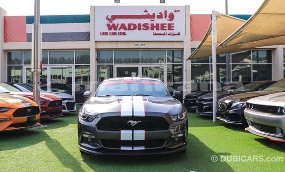 Buy Import Ford Mustang Other Car in Import - Dubai in Abhasia Buy Import Ford Mustang Other Car in Import - Dubai in Abhasia