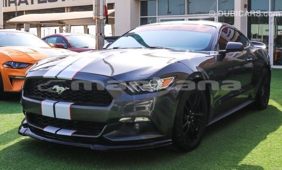 Buy Import Ford Mustang Other Car in Import - Dubai in Abhasia Buy Import Ford Mustang Other Car in Import - Dubai in Abhasia