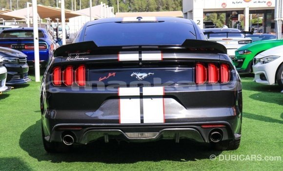 Buy Import Ford Mustang Other Car in Import - Dubai in Abhasia Buy Import Ford Mustang Other Car in Import - Dubai in Abhasia