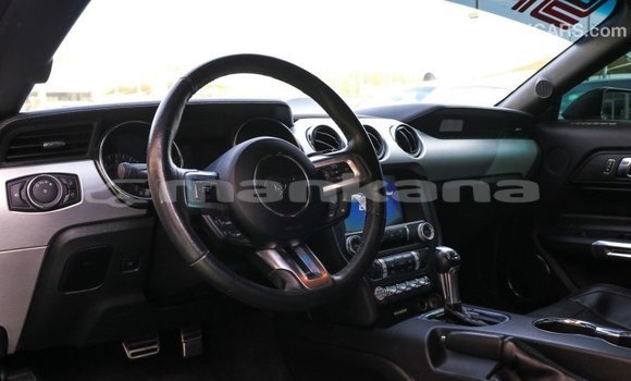 Buy Import Ford Mustang Other Car in Import - Dubai in Abhasia Buy Import Ford Mustang Other Car in Import - Dubai in Abhasia