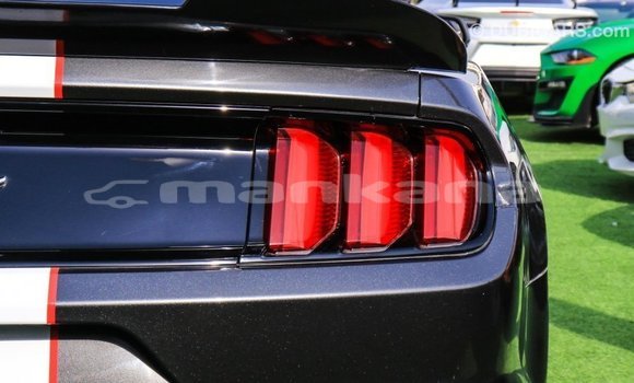 Buy Import Ford Mustang Other Car in Import - Dubai in Abhasia Buy Import Ford Mustang Other Car in Import - Dubai in Abhasia
