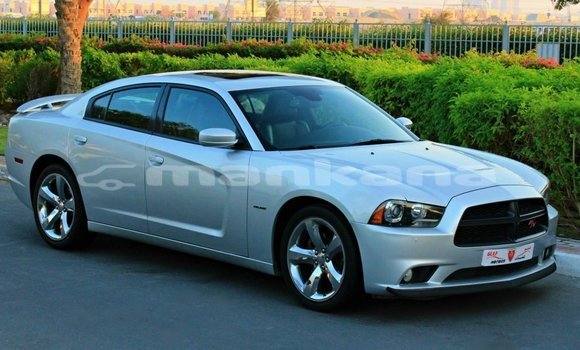Buy Import Dodge Charger Other Car in Import - Dubai in Abhasia