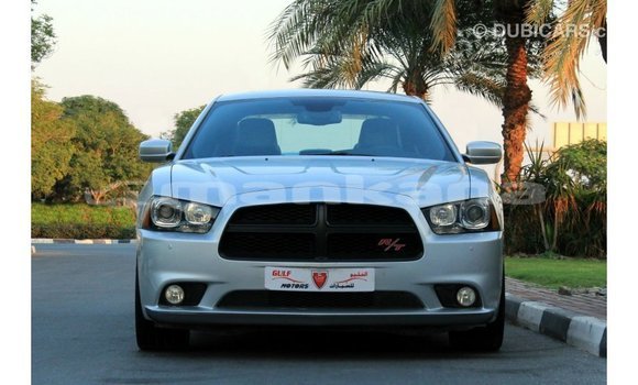 Buy Import Dodge Charger Other Car in Import - Dubai in Abhasia Buy Import Dodge Charger Other Car in Import - Dubai in Abhasia