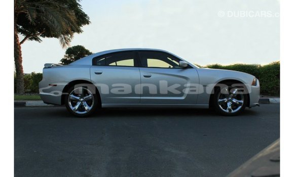 Buy Import Dodge Charger Other Car in Import - Dubai in Abhasia Buy Import Dodge Charger Other Car in Import - Dubai in Abhasia