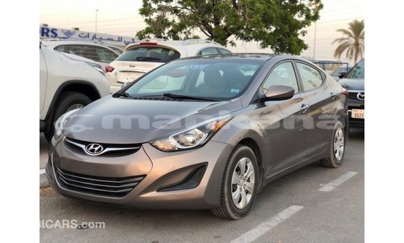 Buy Import Hyundai Elantra Brown Car in Import - Dubai in Abhasia Buy Import Hyundai Elantra Brown Car in Import - Dubai in Abhasia