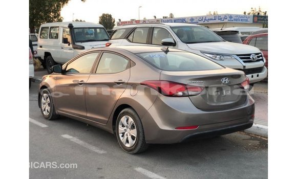 Buy Import Hyundai Elantra Brown Car in Import - Dubai in Abhasia Buy Import Hyundai Elantra Brown Car in Import - Dubai in Abhasia