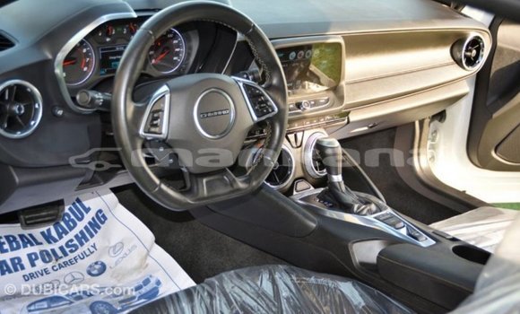 Buy Import Chevrolet Camaro White Car in Import - Dubai in Abhasia Buy Import Chevrolet Camaro White Car in Import - Dubai in Abhasia