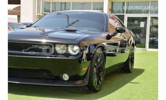 Buy Import Dodge Challenger Black Car in Import - Dubai in Abhasia Buy Import Dodge Challenger Black Car in Import - Dubai in Abhasia