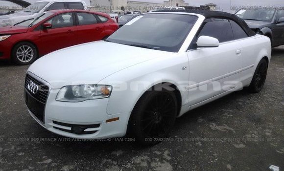 Buy Used Audi A4 White Car in Tbilisi in Tbilisi Buy Used Audi A4 White Car in Tbilisi in Tbilisi