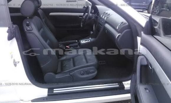 Buy Used Audi A4 White Car in Tbilisi in Tbilisi Buy Used Audi A4 White Car in Tbilisi in Tbilisi