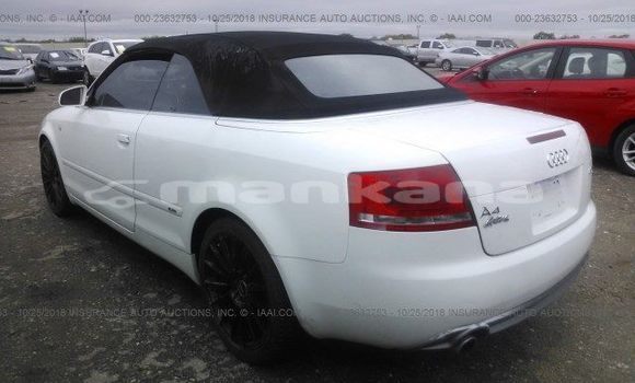 Buy Used Audi A4 White Car in Tbilisi in Tbilisi Buy Used Audi A4 White Car in Tbilisi in Tbilisi