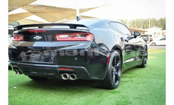 Buy Import Chevrolet Camaro Black Car in Import - Dubai in Abhasia Buy Import Chevrolet Camaro Black Car in Import - Dubai in Abhasia