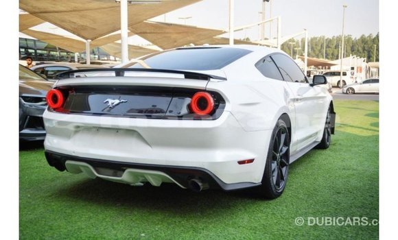 Buy Import Ford Mustang White Car in Import - Dubai in Abhasia Buy Import Ford Mustang White Car in Import - Dubai in Abhasia